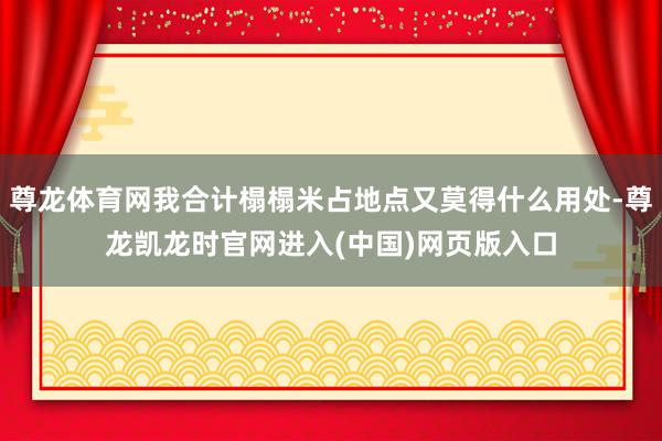 尊龙体育网我合计榻榻米占地点又莫得什么用处-尊龙凯龙时官网进入(中国)网页版入口